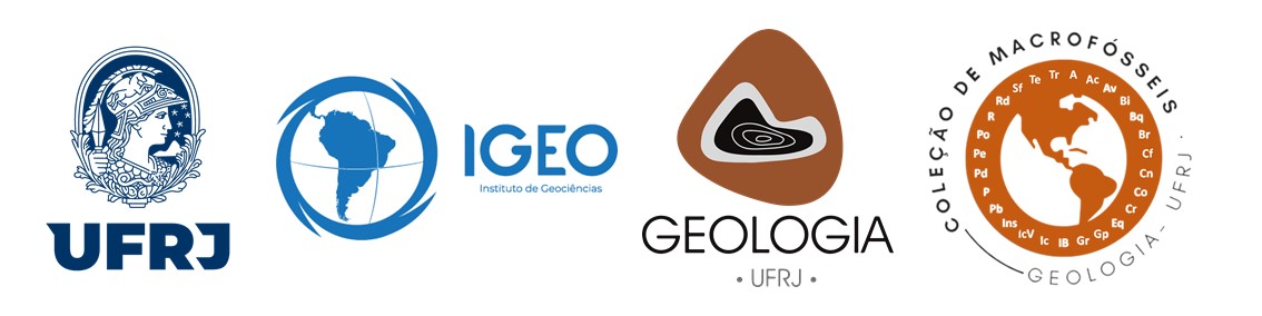 COLEÇÃO DE MACROFÓSSEIS DO DEPARTAMENTO DE GEOLOGIA DO INSTITUTO DE GEOCIÊNCIAS DA UNIVERSIDADE FEDERAL DO RIO DE JANEIRO